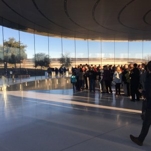 Apple - 1.jpg