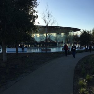 Apple - 5.jpg
