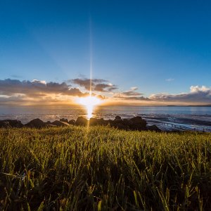 Oyster Point-20180303.jpg