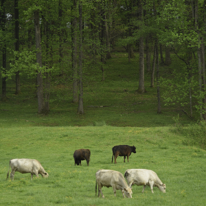 Screen Shot 2018-03-15 at 6.42.06 PM.png