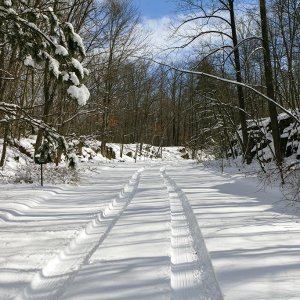 road less travelled1024.jpg