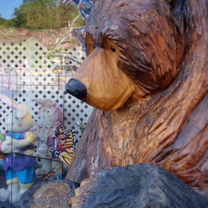 MamaBear2012.jpg