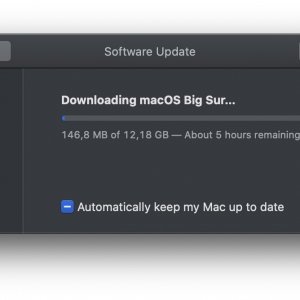 Screenshot 2020-11-12 at 19.24.56.jpg