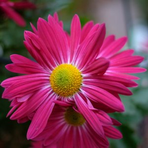 DSCF1176.jpg