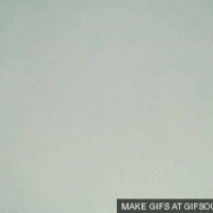 300.gif