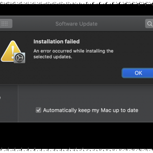 Screen Shot 2020-11-12 at 15.03.11.png