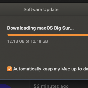 Screenshot 2020-11-12 at 8.25.45 PM.png