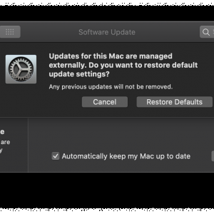 Screen Shot 2020-11-12 at 8.50.02 PM.png