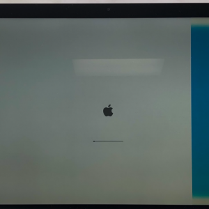 Screen Shot 2019-01-31 at 10.56.38 AM.png