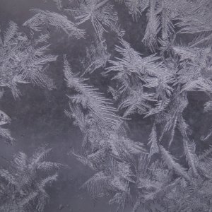 frost2.jpg