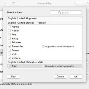 speech download config.jpeg