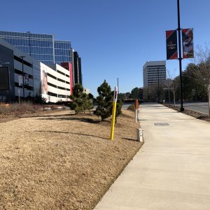 IMG_6359.jpg