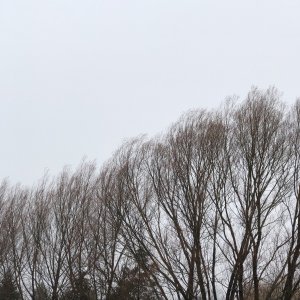 C97FA168-3C03-4767-AB99-2C7308B35317.jpeg