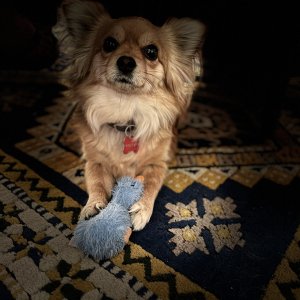 515AFAE1-8095-4EA3-B6C3-5730B1FC4DA1.jpeg