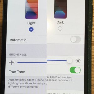 12 Mini Comparison (mini v mini 1).jpg