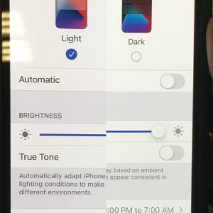 12 Mini Comparison (mini v mini 4).jpg
