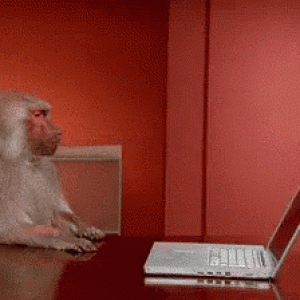 MonkeyLaptop.gif