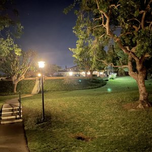 IMG_0020.jpg