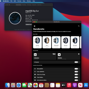 Screenshot 2020-11-19 at 13.50.20.png