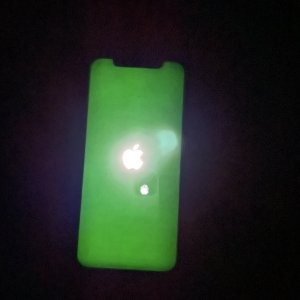083E7BC2-1EB6-467A-BBB3-E8CFE1EF0331.jpeg