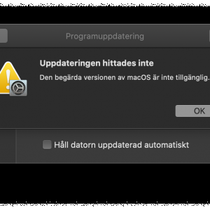 Skärmavbild 2020-11-19 kl. 22.21.23.png