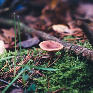 DSCF9173.jpg