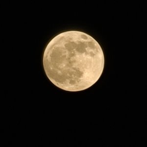 20201129_175128.jpg