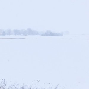 C5107206-2E19-497C-B99F-F9E450E00964.jpeg