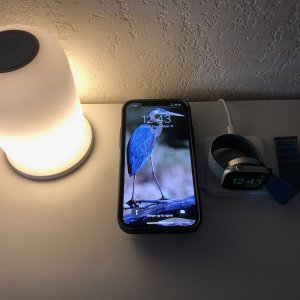 IMG_6940.jpeg