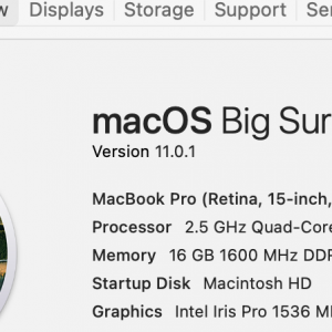 Screen Shot 2020-12-06 at 1.46.02 PM.png