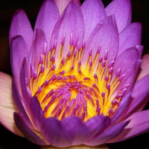 samples - 6.jpg
