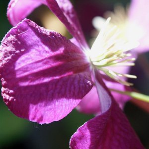 samples - 7.jpg
