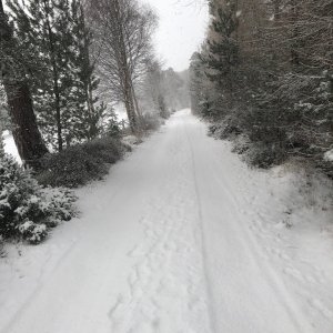 IMG_5035.jpg