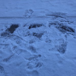 IMG_5013.jpg