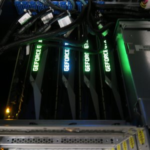 cat-1080ti.jpg