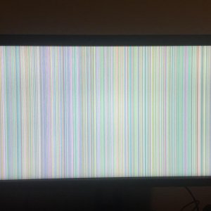 WhatsApp Image 2019-01-25 at 13.14.32.jpeg