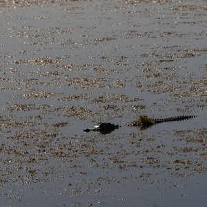 Thanksgiving hike - 1500px-16.JPG