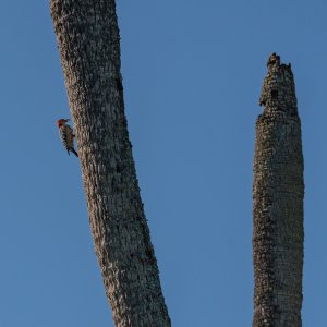 Thanksgiving hike - 1500px-30.JPG