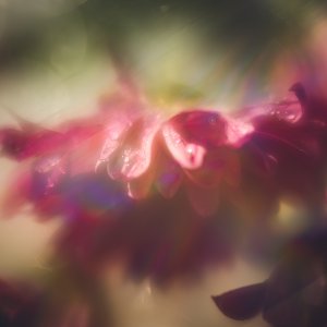 DP_December_10_2020.jpg