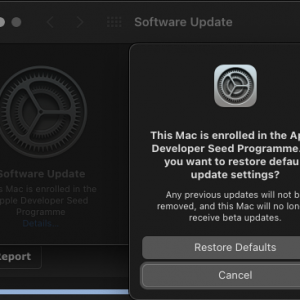 Screenshot 2020-12-10 at 20.31.54.png
