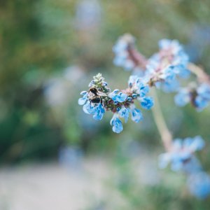disneyland-2017-210.jpg