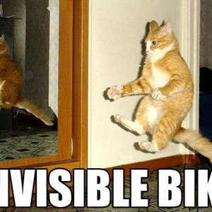 bike.jpg