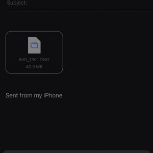 IMG_1306.jpeg