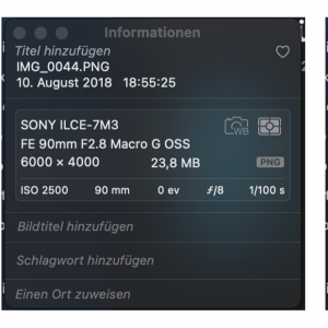 Ohne Titel.png