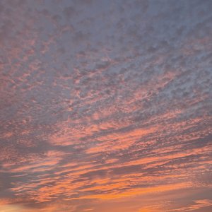0D485FCC-6756-49E5-8868-BC9795D534FF_1_105_c.jpeg