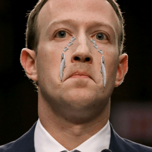 1608166435314.png