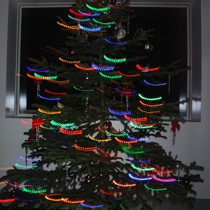 Tree.jpg