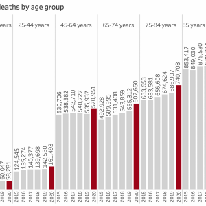 COVID_excess_mort_withcauses_12162020 copy.png