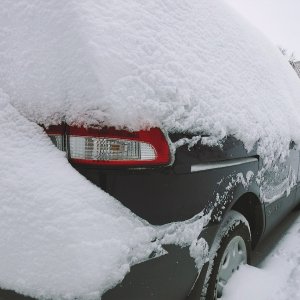 Snowdin.jpg
