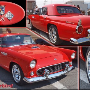 04_55TBird.jpg